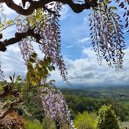 Relax In Langa Дом отдыха Farigliano